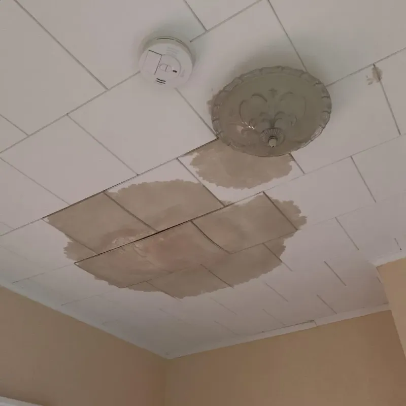 Ceiling Water Damage Repair in Sauk Centre, MN
