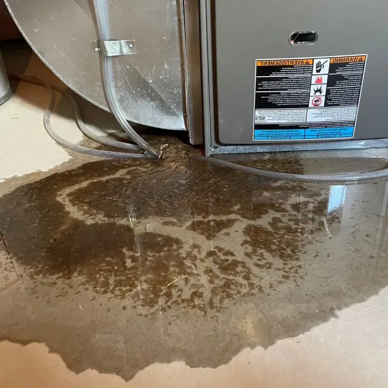 Pipe Burst and Leak Restoration in Sauk Centre, MN